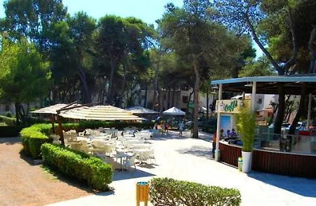 Di Vins Apartment San Cataldo (Apulia)